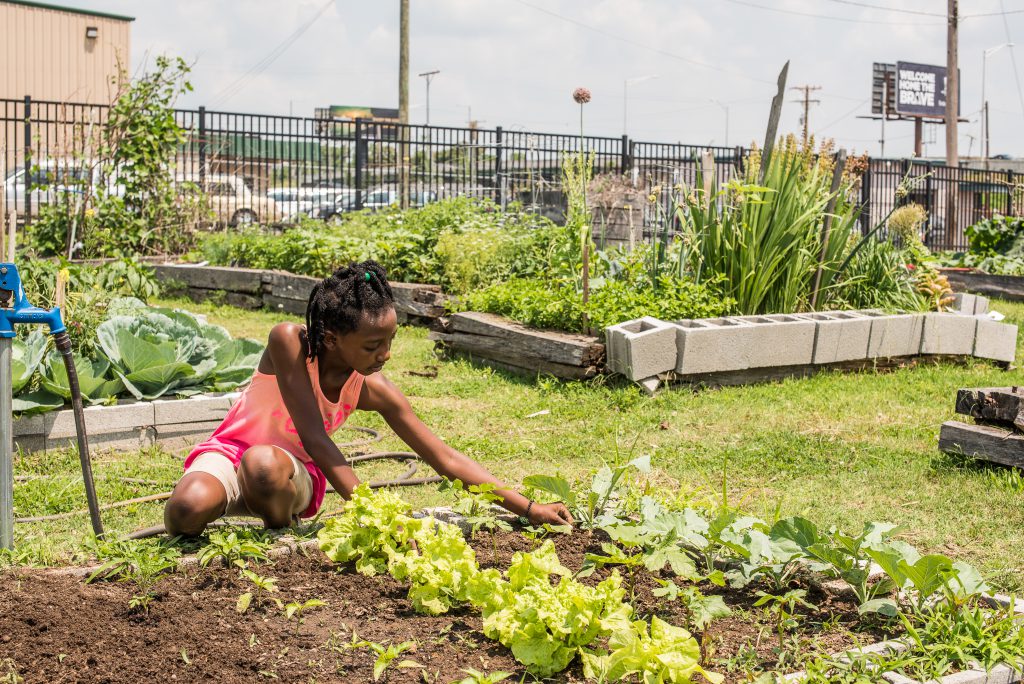 may-farm-in-the-city-12